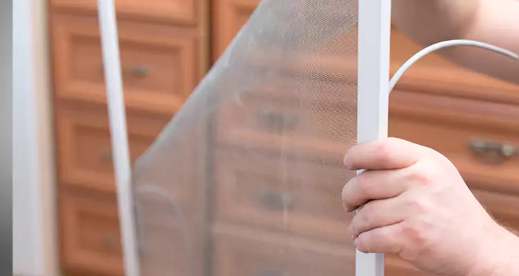 Privacy Mesh Screen Door Installation in Los Altos, CA